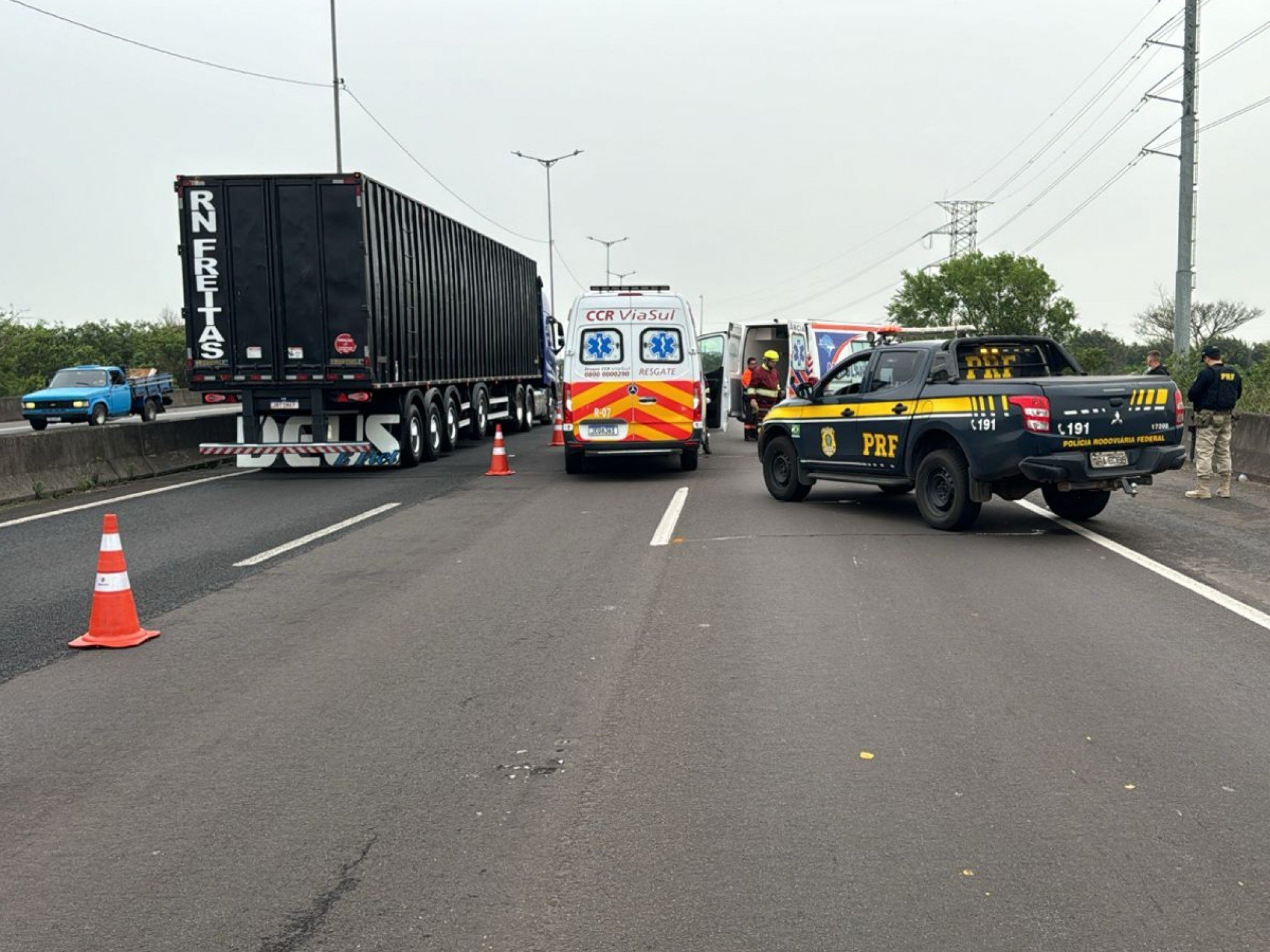 BR-448: Atropelamento afeta o trânsito na rodovia