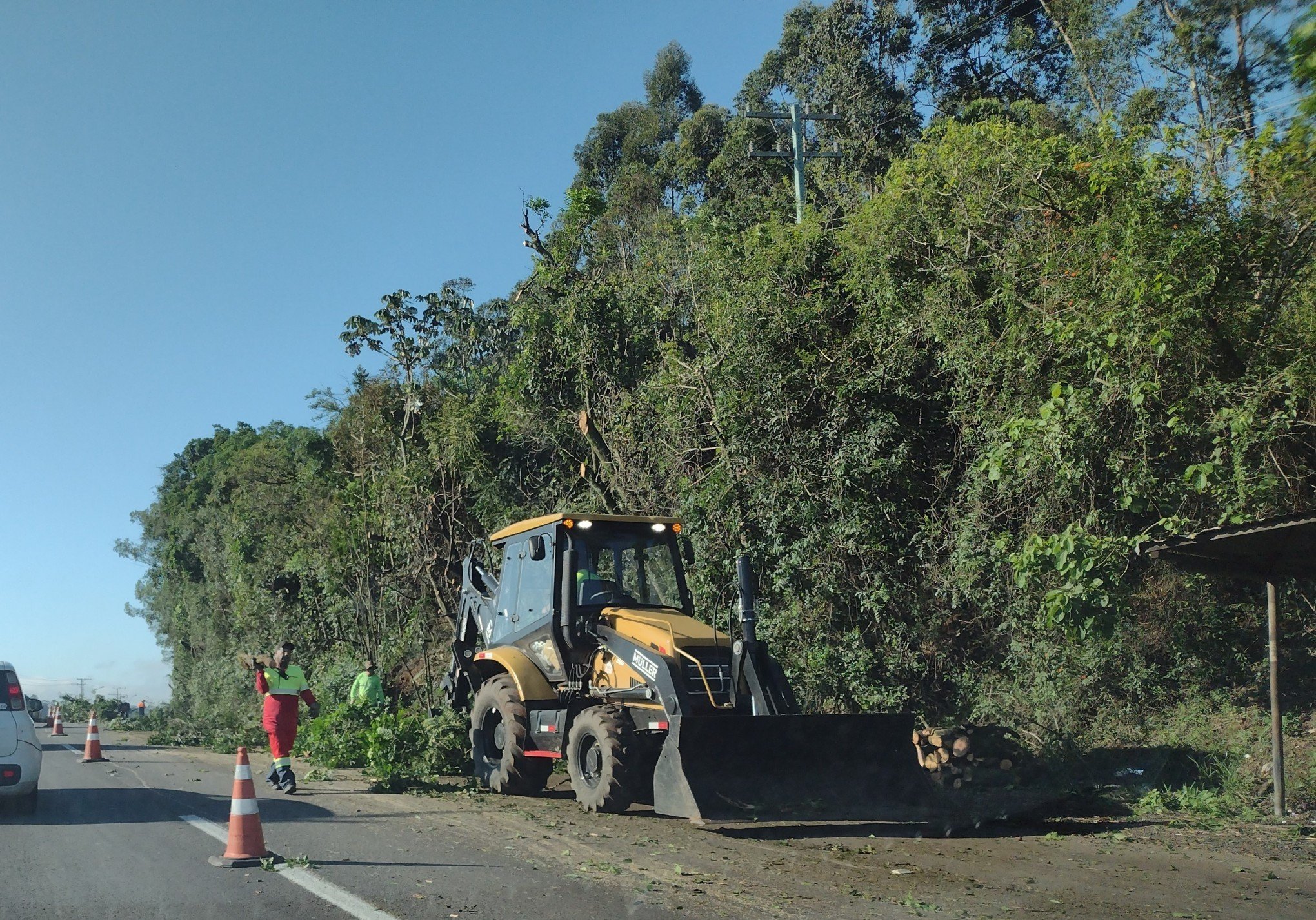 RS-240: Poda de árvores deixa trânsito em meia pista na região