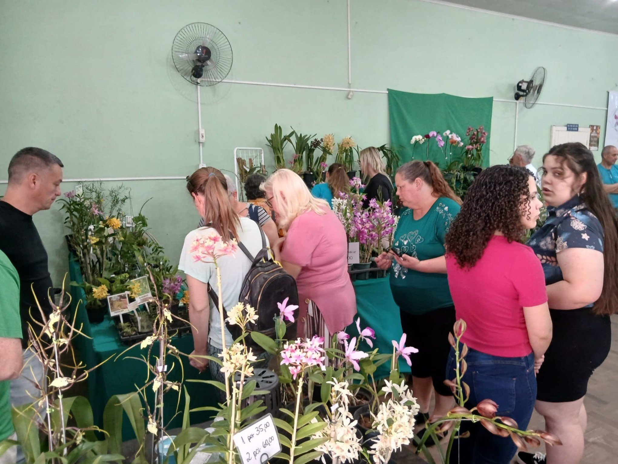 Exposição de orquídeas atrai mais de mil pessoas em São Leopoldo