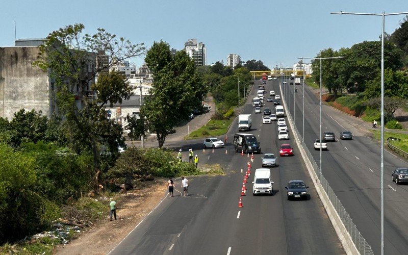 Retirada de árvores na BR-116 em NH  | abc+