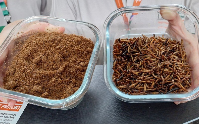 Startup cria inseto para produção de largas que viram fonte proteica para alimentação animal | abc+