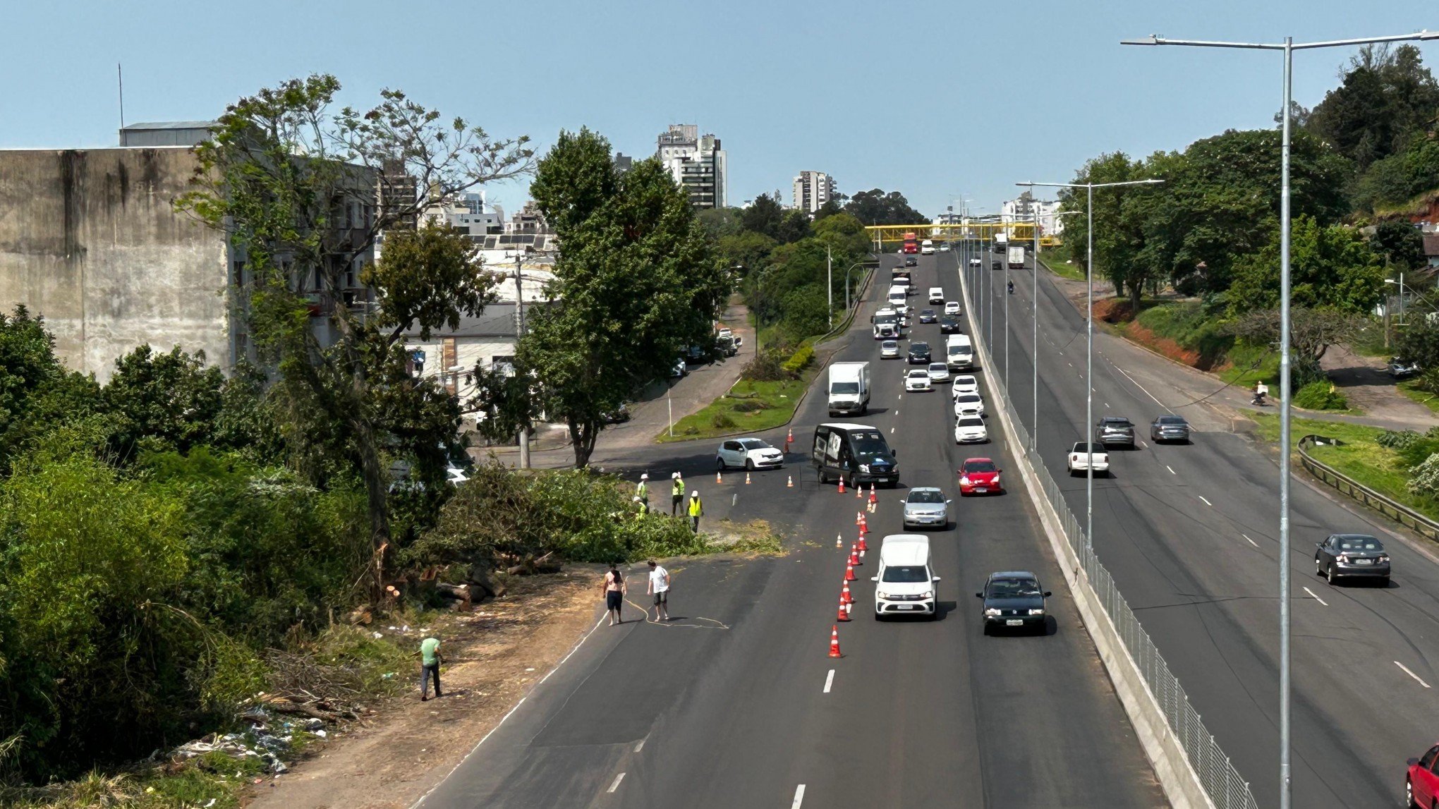 BR-116: Corte de 907 árvores vai mudar paisagem entre Porto Alegre e Novo Hamburgo