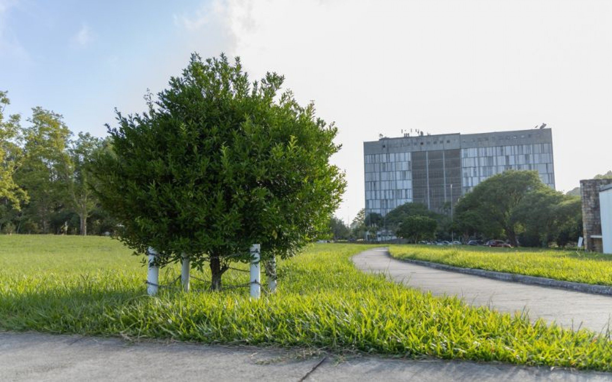 O que causou surto de diarreia em estudantes de universidade gaúcha