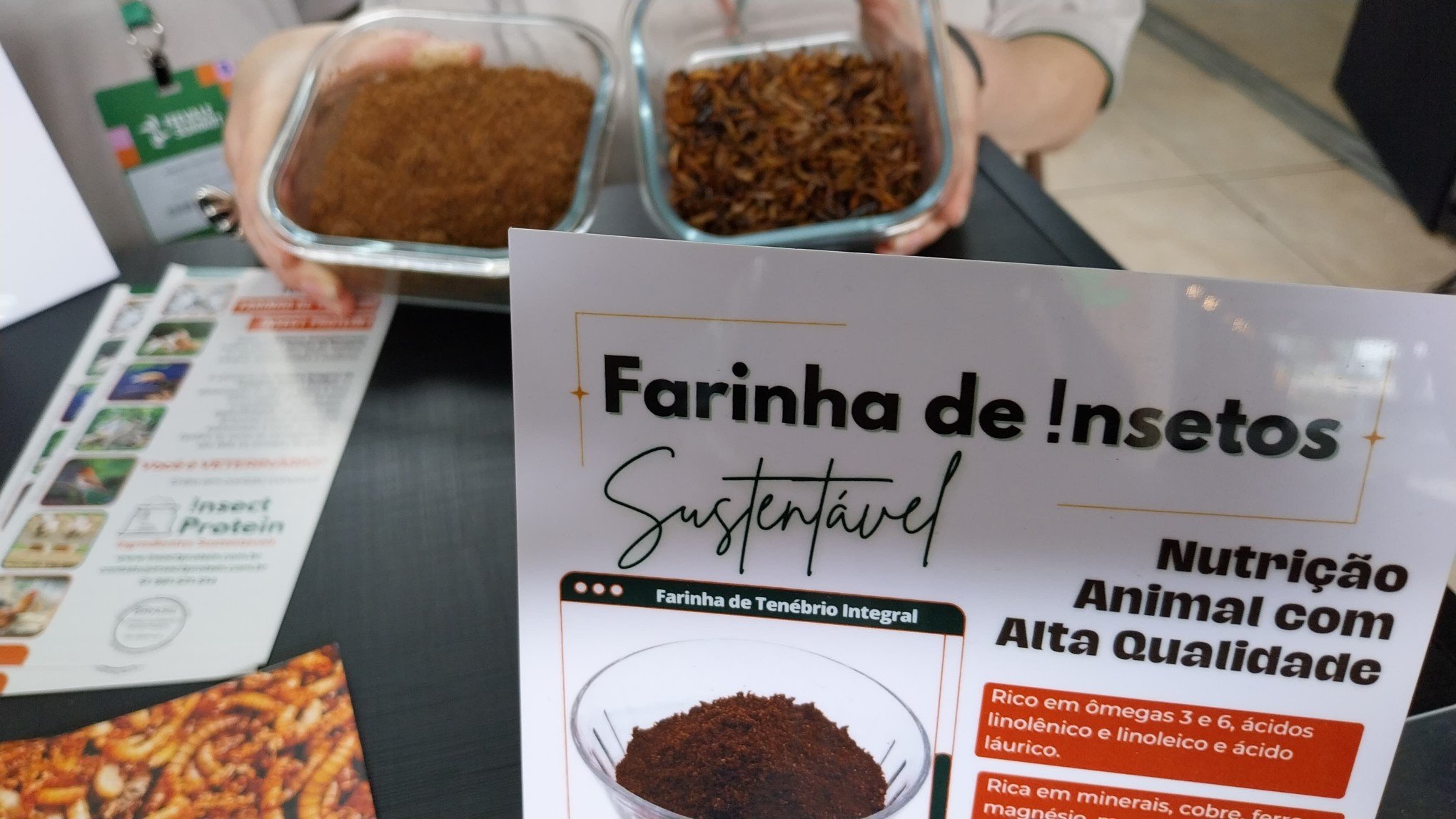 SOUTH SUMMIT BRAZIL: Veja as startups da região selecionadas pelo Programa Centelha