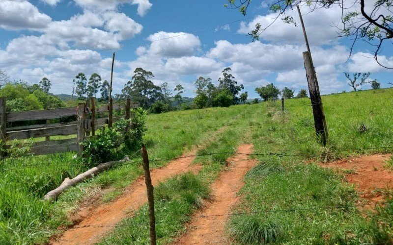 Ossada humana foi encontrada embaixo de taquareiras em uma propriedade privada em Lomba Grande