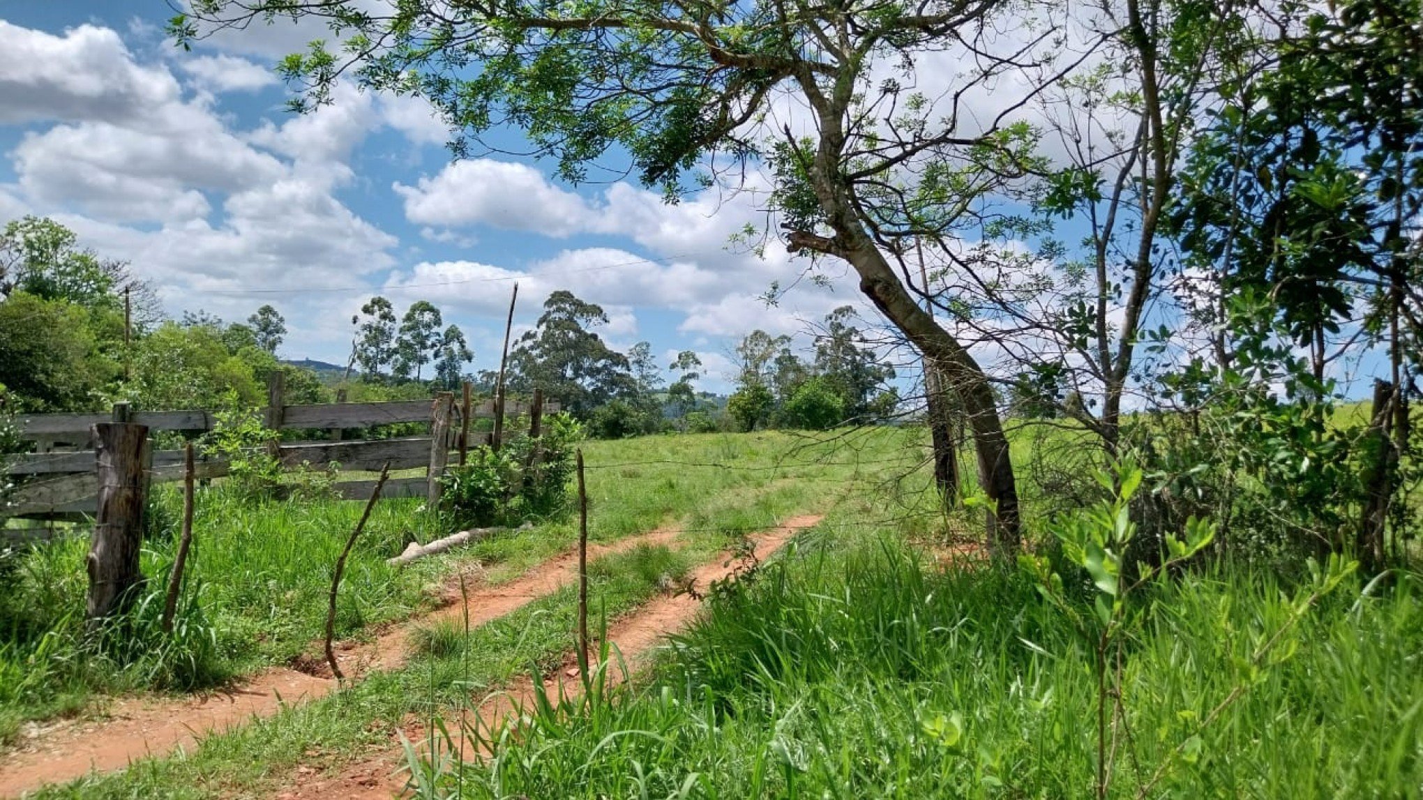 Morador encontra ossada humana próximo à campo de futebol