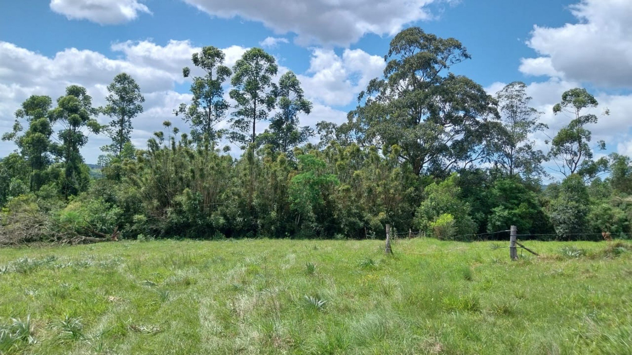 Morador encontra ossada humana próximo a campo de futebol