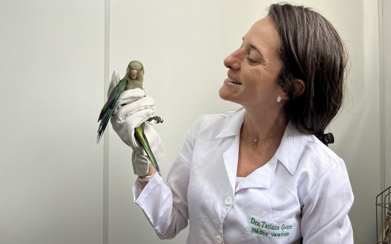 Veterinária Tatiana Guerra cuidou das aves resgatadas | abc+