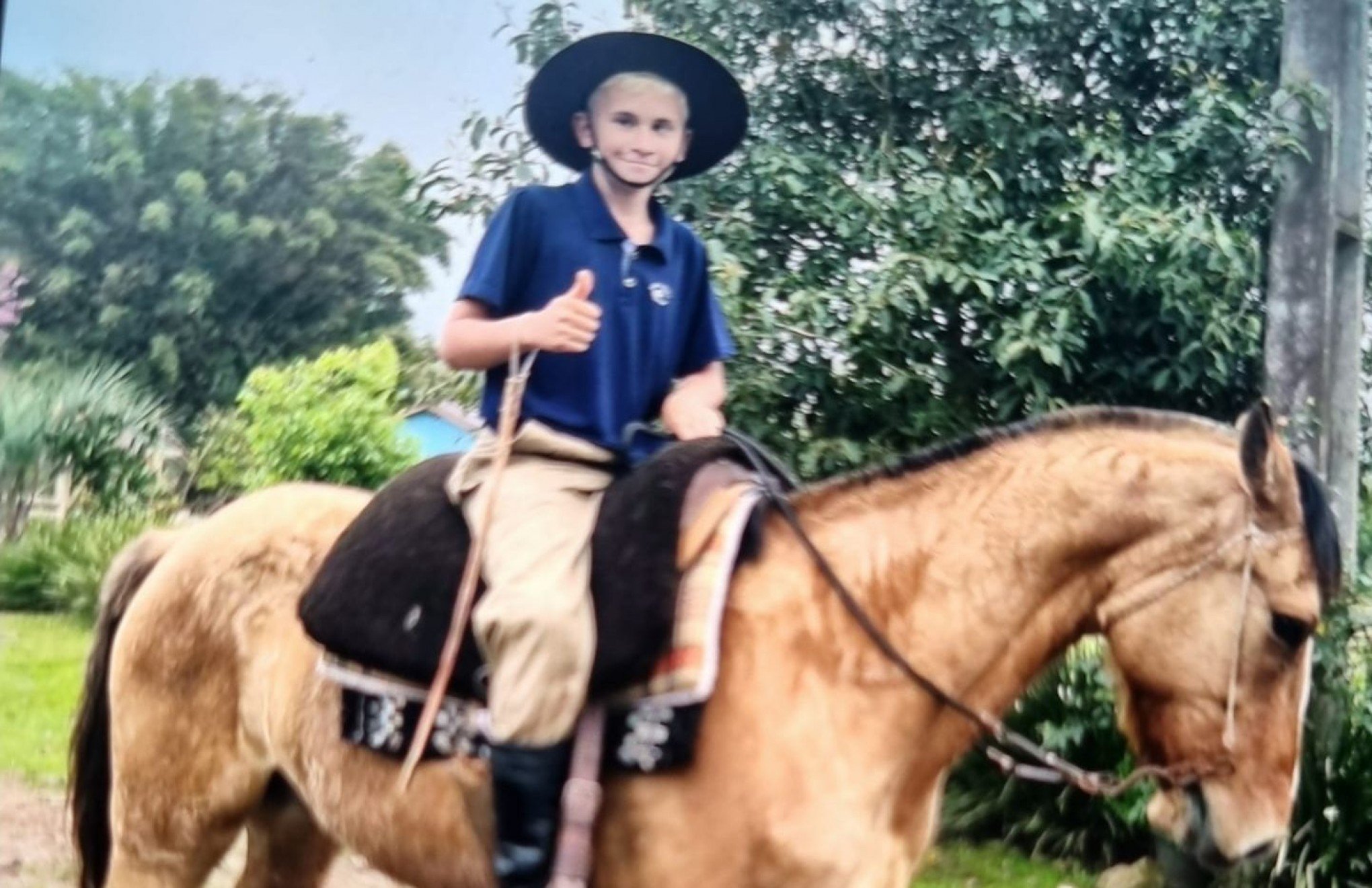 Adolescente e cavalo morrem após descarga elétrica no Vale do Taquari