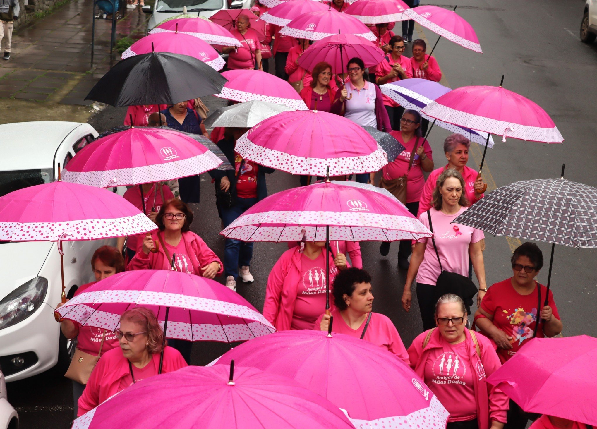 Novo Hamburgo se veste de rosa em campanha contra o câncer de mama; veja fotos