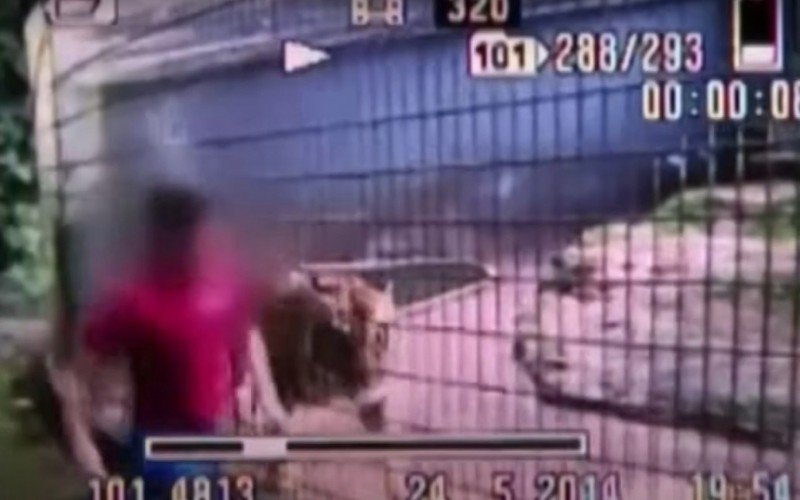 Jovem revela pedido inusitado após perder braço em ataque de tigre no Paraná | abc+