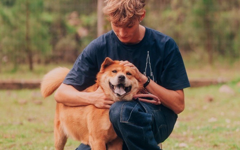 Jovens de diversos países participaram de campanha de adoção de pets em Canela