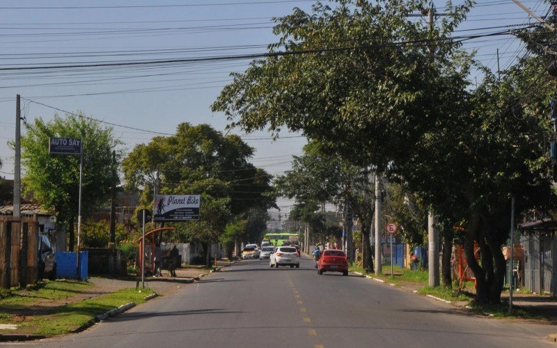 Canoas é uma das cidades da região com plano de arborização urbana | abc+