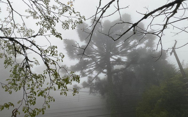 Neblina e chuva