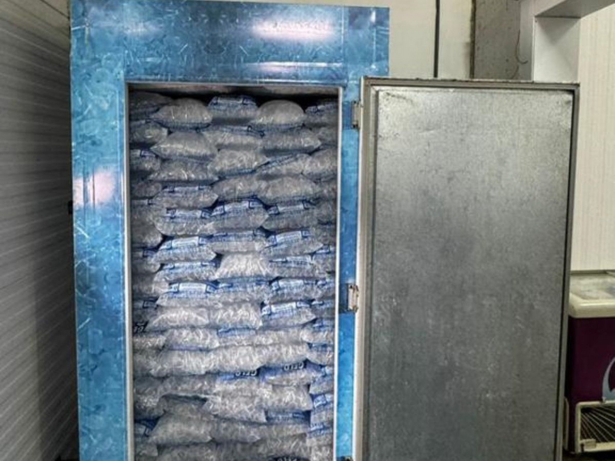 Cerca de 1,5 tonelada de gelo impróprio para consumo é apreendido no litoral norte