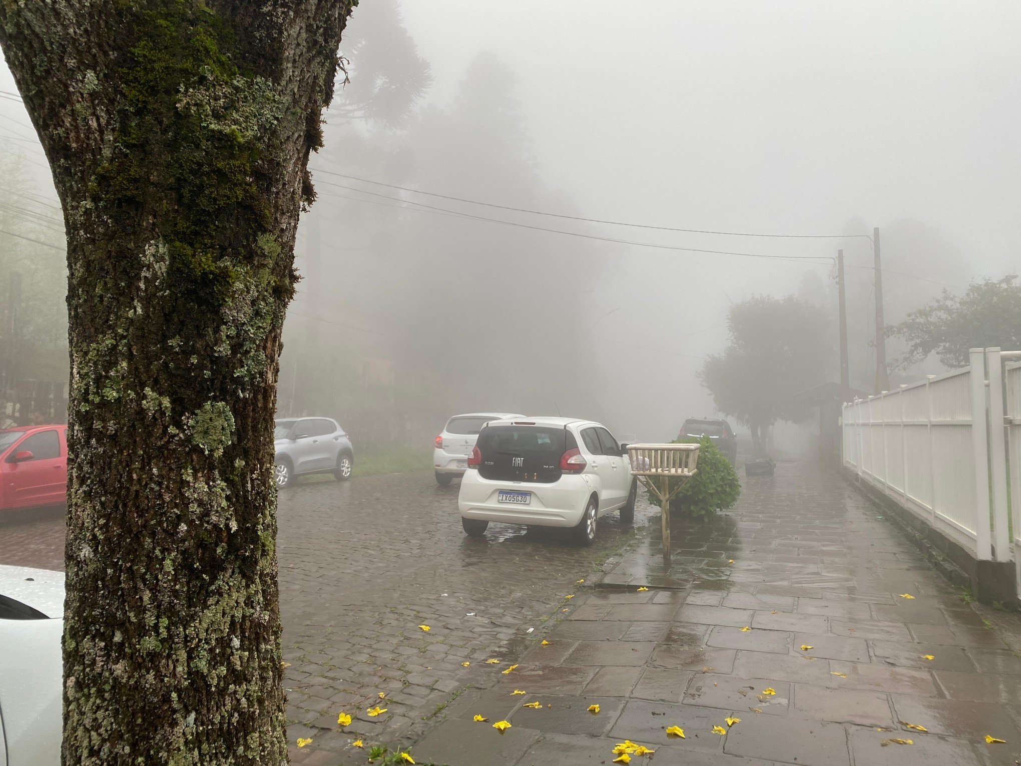 Sol ou chuva em Gramado? Saiba como ficará o tempo neste final de semana
