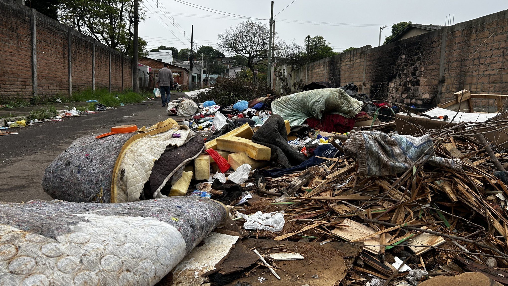 Rua volta a acumular lixão a céu aberto dois meses após limpeza: "Descartam bichos mortos"