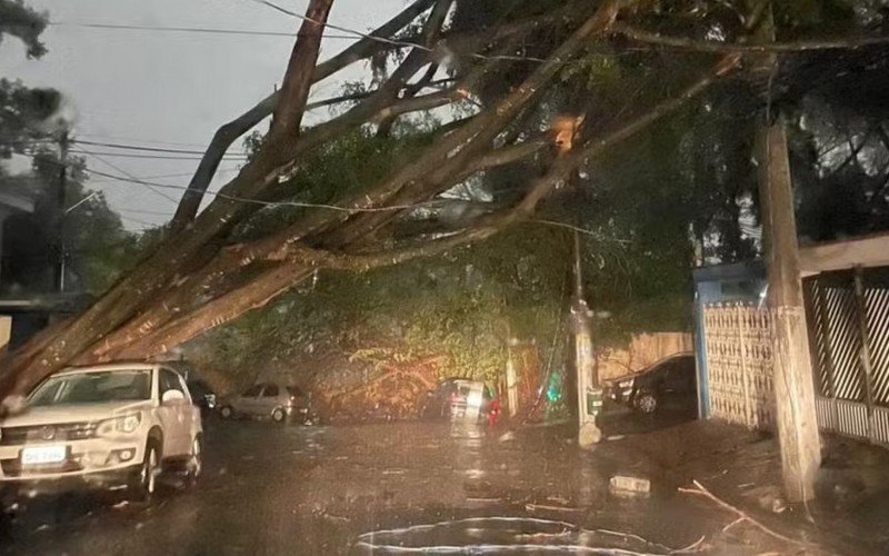 Temporal em SP | abc+