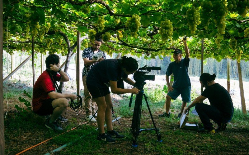 Documentário Furusato: um lugar para voltar | abc+