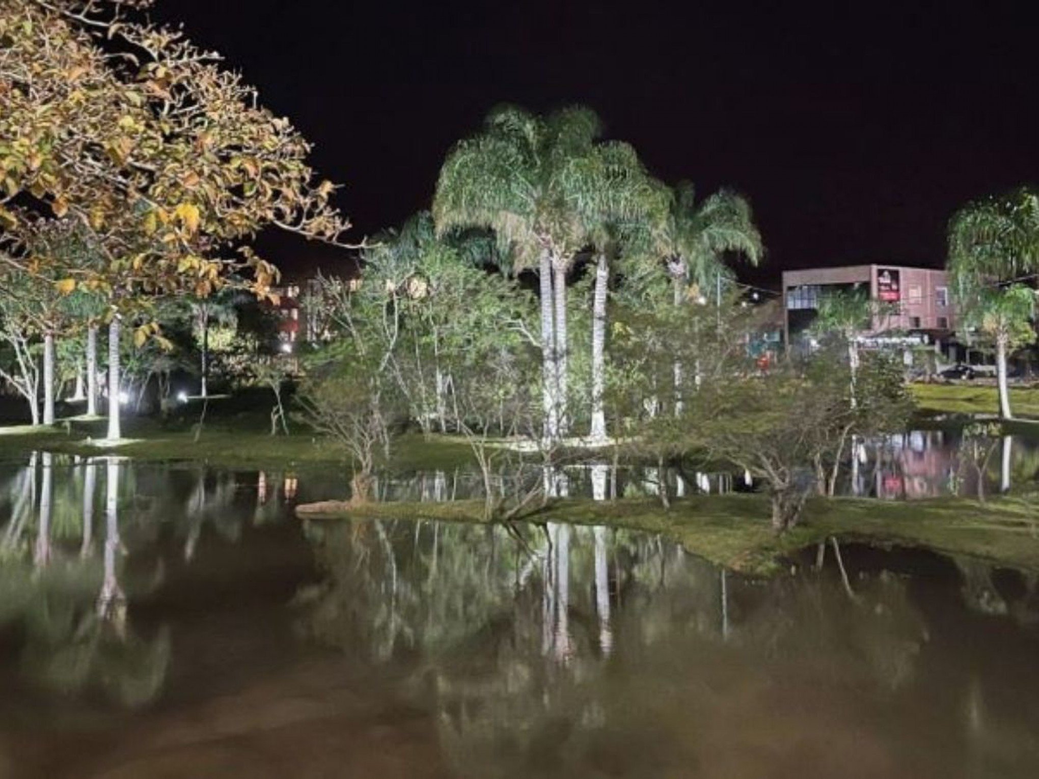 Jovens são baleados em parque movimentado na região metropolitana