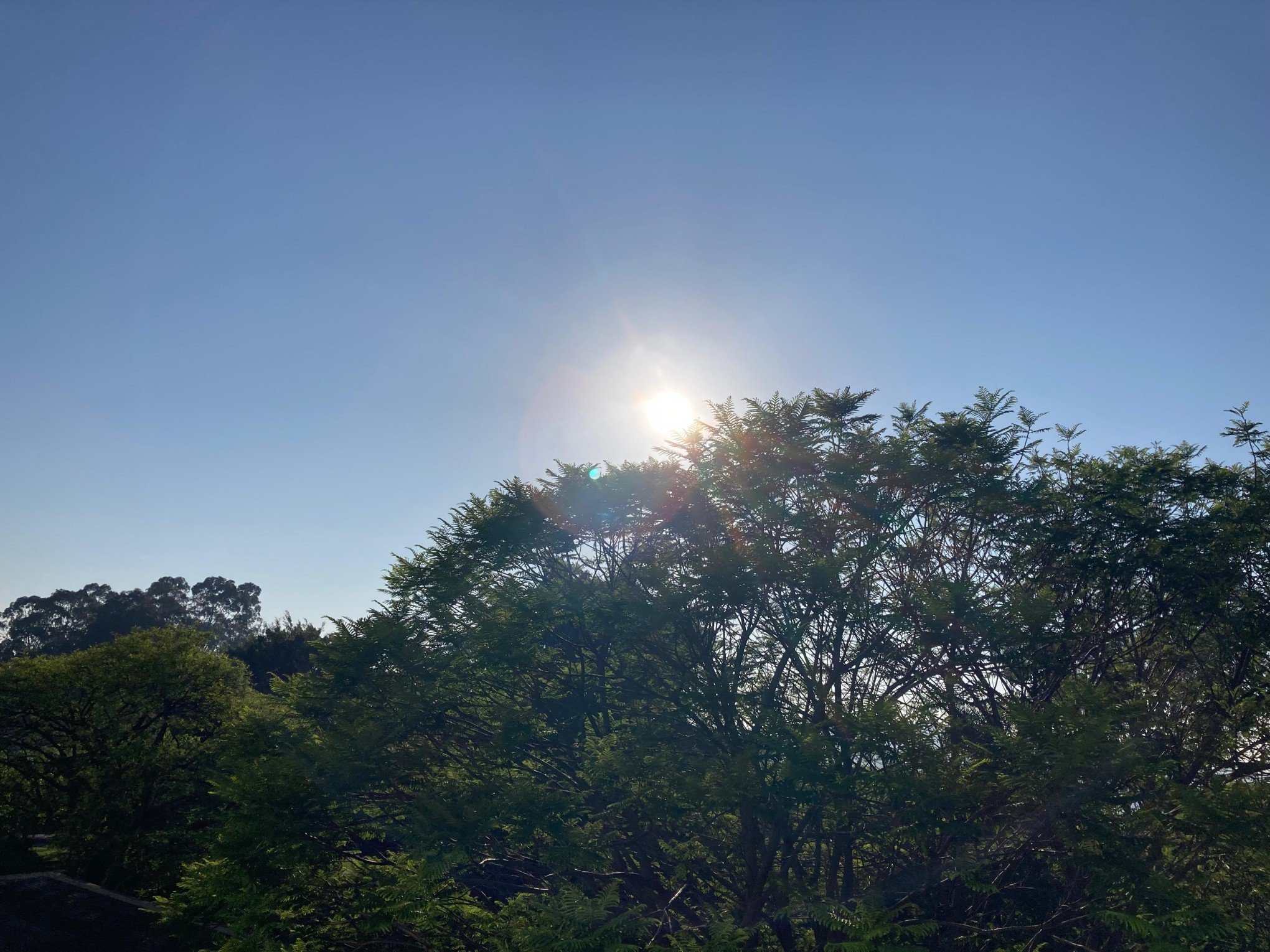 PREVISÃO DO TEMPO: Sol ou chuva? Confira como será a semana no Rio Grande do Sul