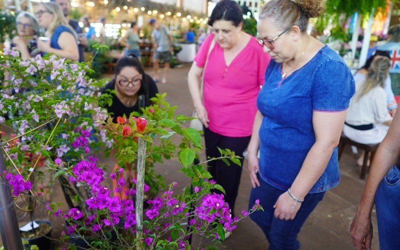 Festa das Flores em Ivoti começa nesta sexta-feira (18). | abc+