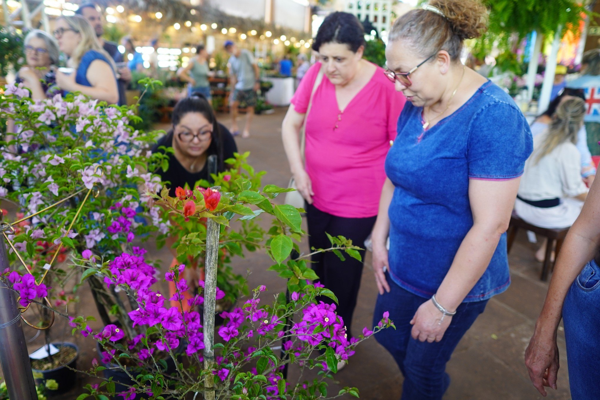 FESTA DAS FLORES: Comidas e bebidas de flores estão entre os diferenciais de evento em Ivoti; veja programação