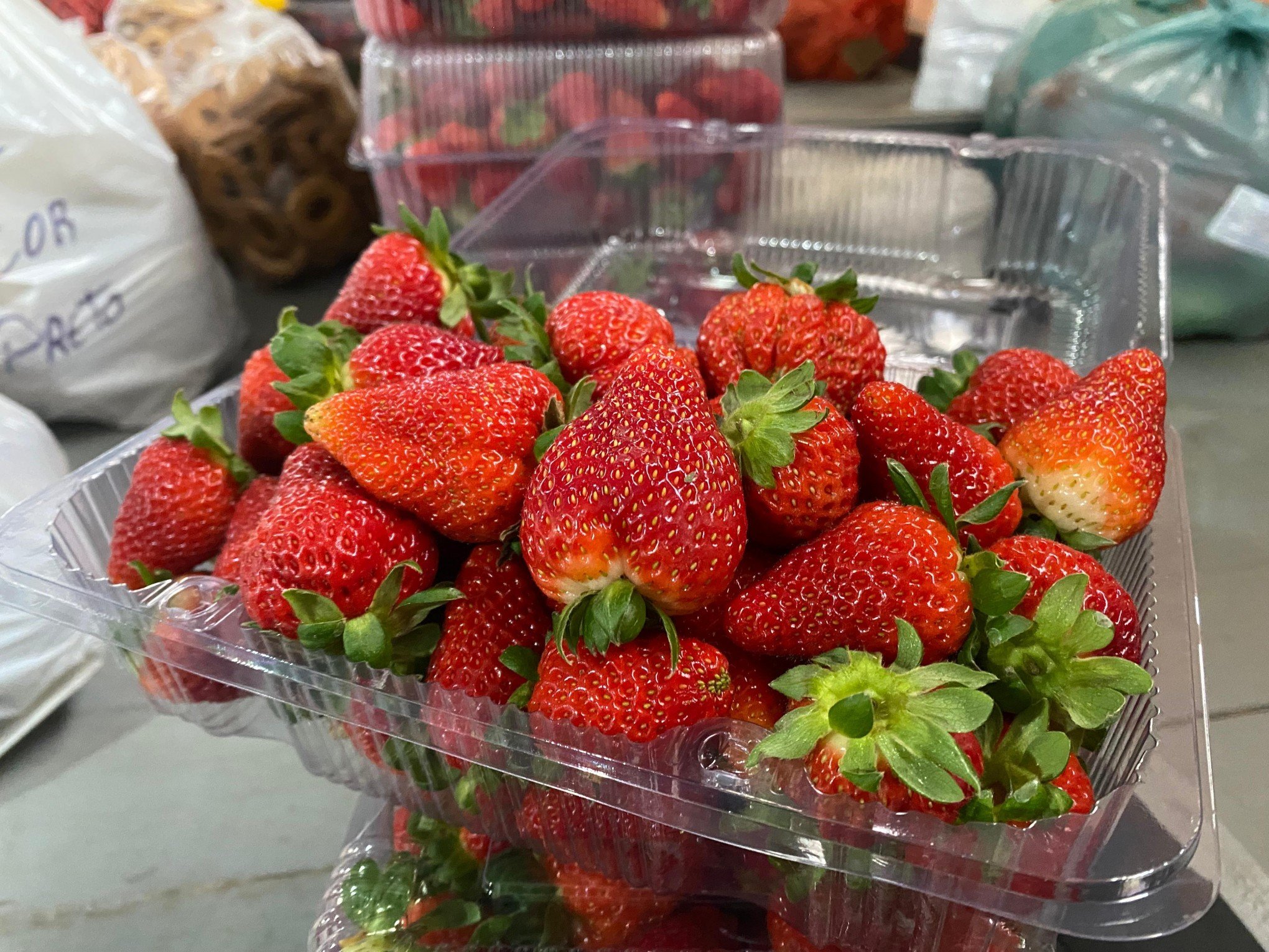 Morango do amor faz preço da fruta disparar em Gramado e quilo já chega a R$ 80