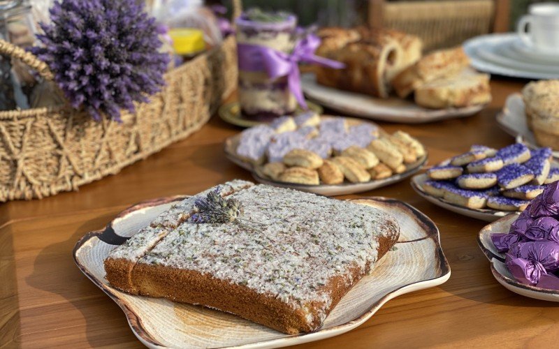 Festa da Lavanda movimenta economia de Morro Reuter. | abc+