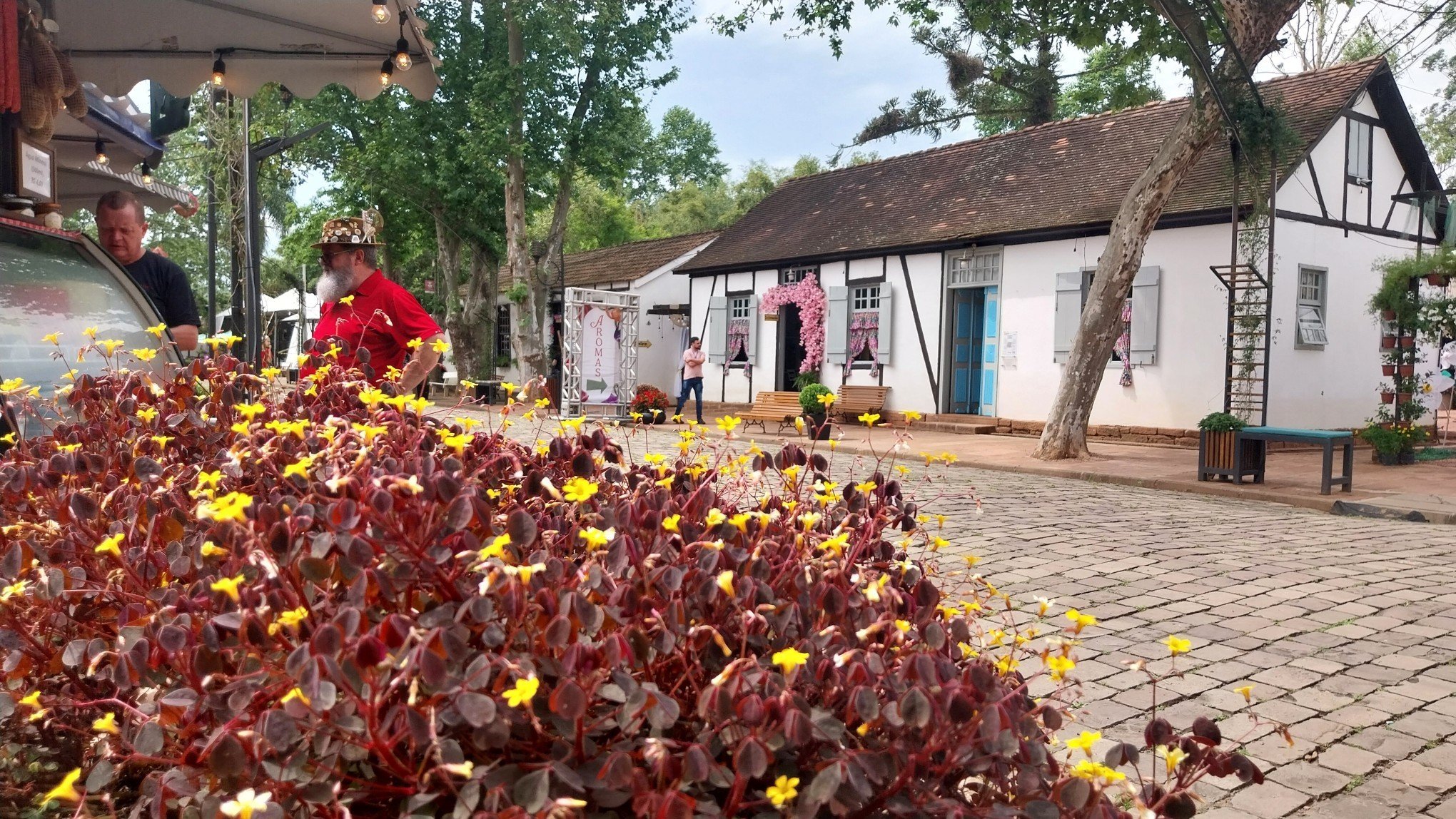 Feira das Flores de Ivoti ocorre no Núcleo de Casas Enxaimel | abc+