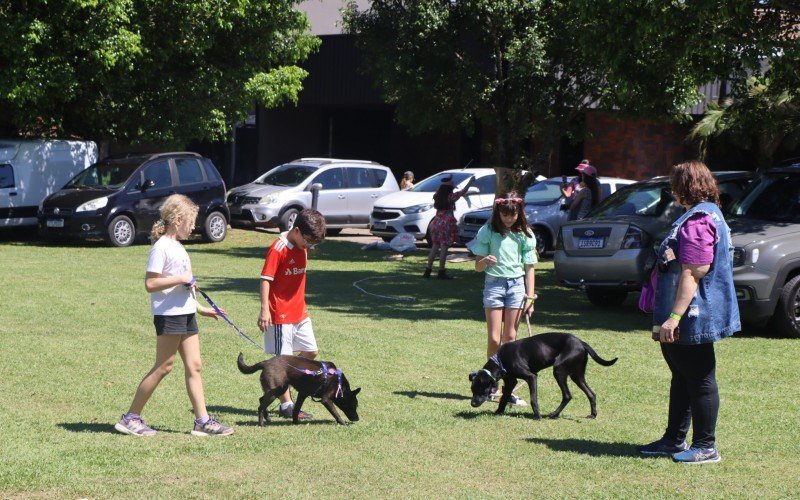 AMO Criança realiza segunda edição do evento Nossos Pequenos: Kids e Pets | abc+