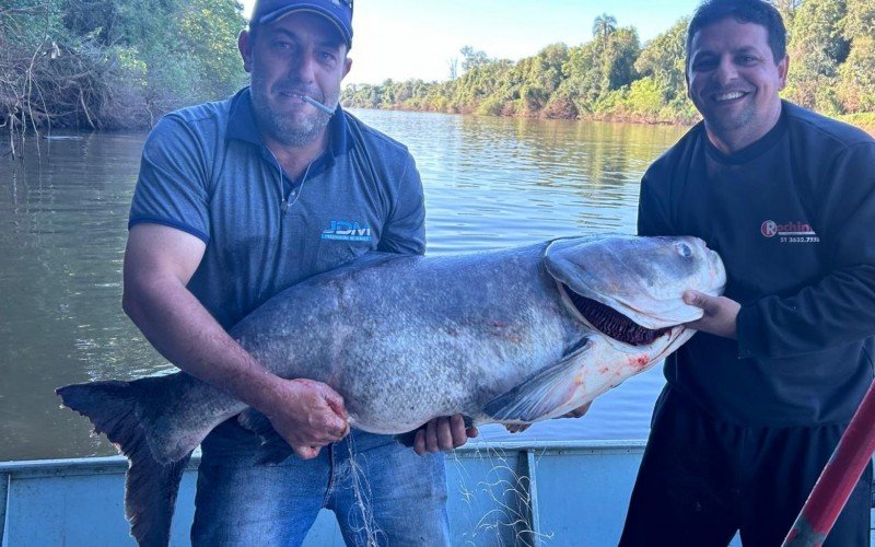 Peixe de quase 60 quilos foi pescado em Montenegro
