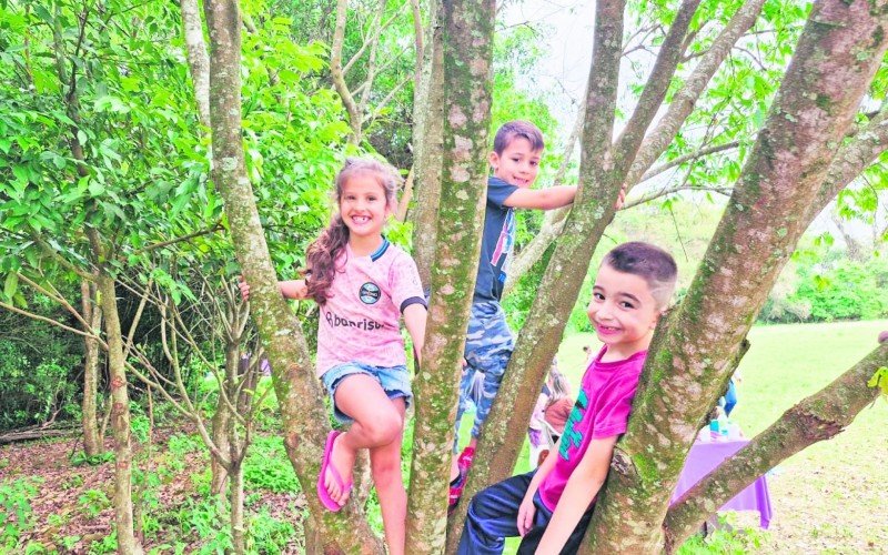 Subida em árvores para lembrar a infância dos pais  | abc+