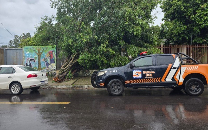 Quedas de árvore também foram registradas no bairro Independência