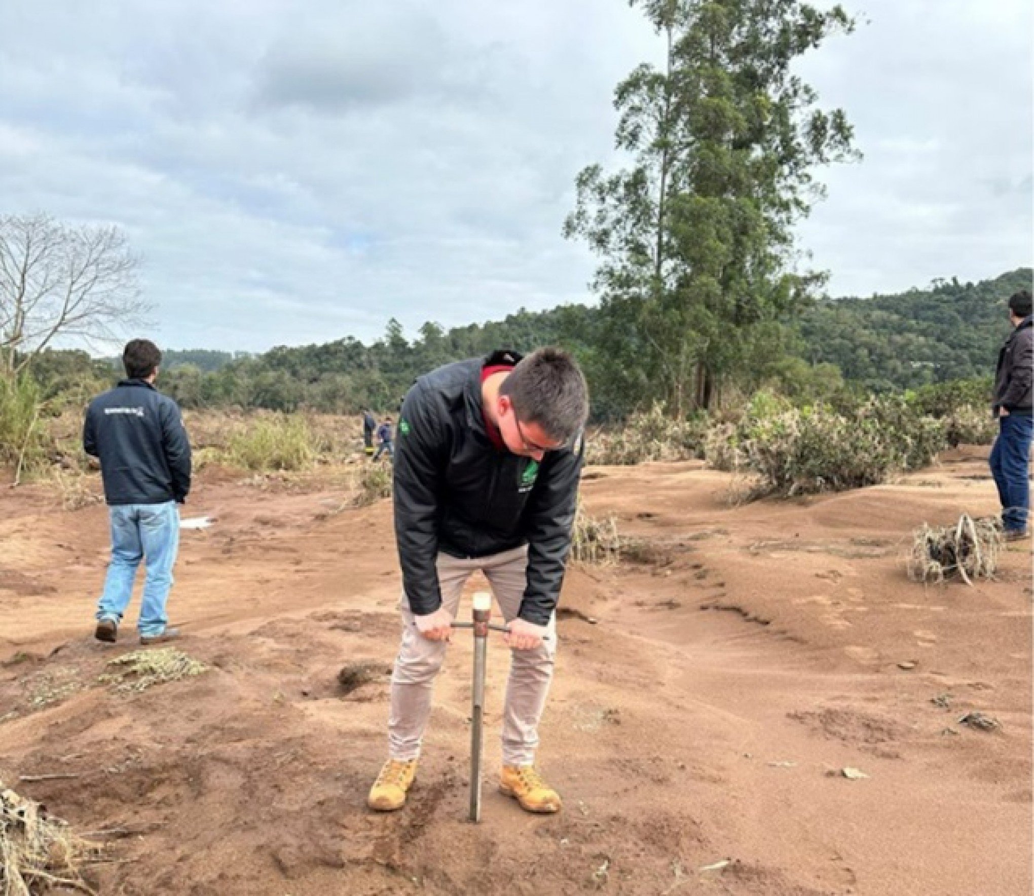 Estudo de solos analisa impacto da cheia em pomar de citros no Vale do Caí