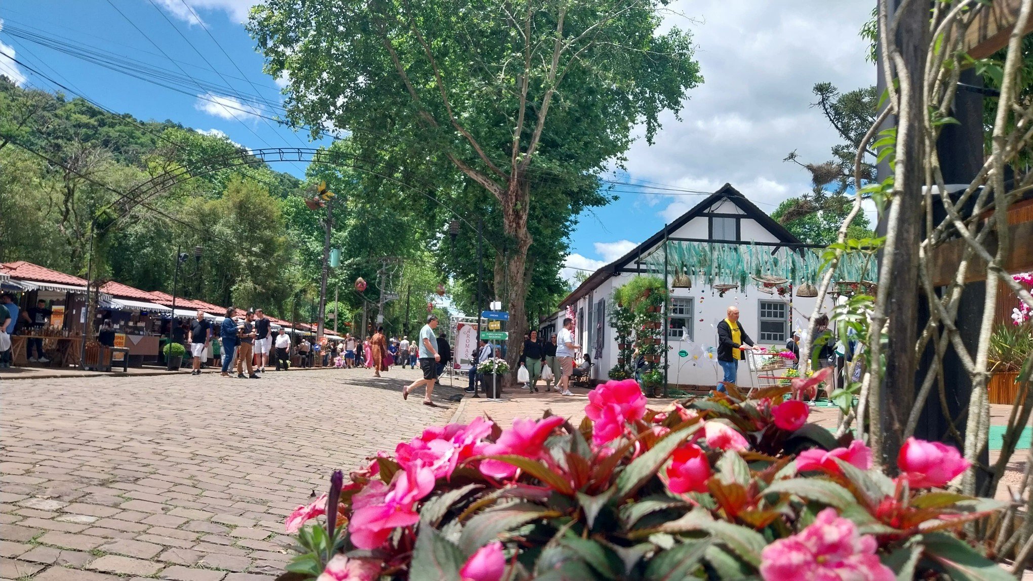 Público aproveita Feira das Flores para repaginar o jardim após enchentes de maio no RS