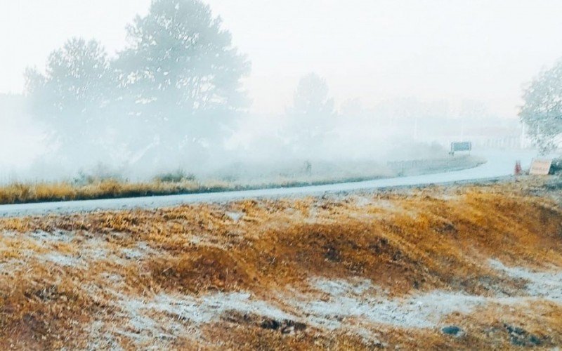 Geada foi registrada nesta manhã em São Francisco de Paula, que teve mínima de 3,4°C | abc+