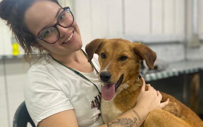 Vigilância Ambiental oferece castração gratuita de cães e gatos sem fila de espera