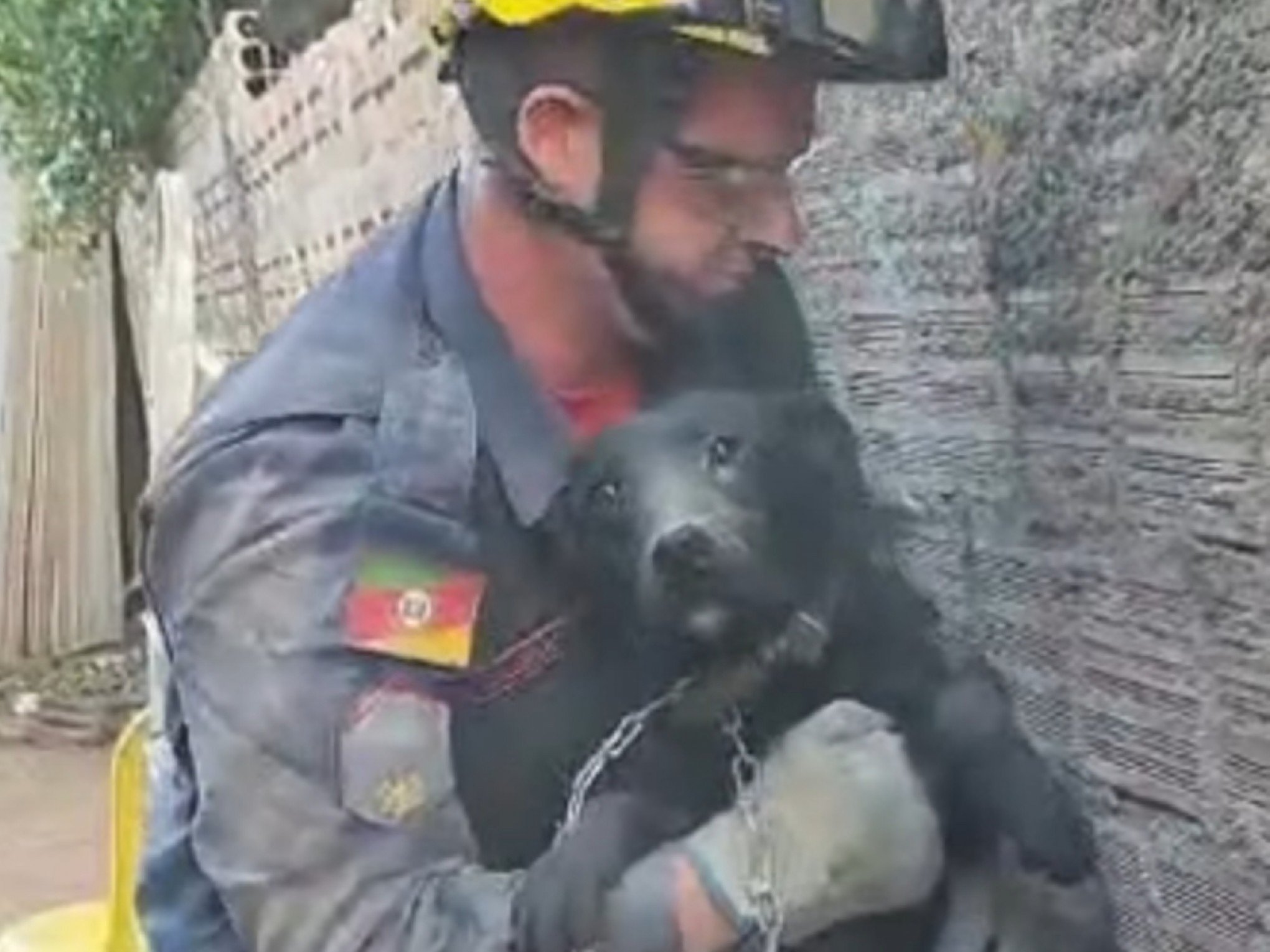 VÍDEO: O incrível resgate do cão Black