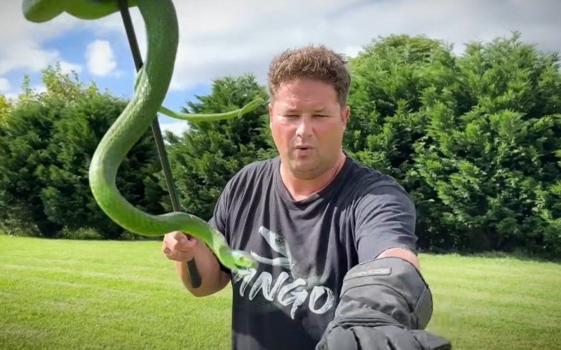 Youtuber famoso por vídeos com animais perigoso morre após picada de cobra venenosa | abc+
