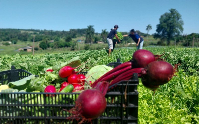 Thainá klazer de Mello 28, Rodrigo Silveira de Souza,  34, vão vender na Feira do Produtor do bairro São Jorge | abc+