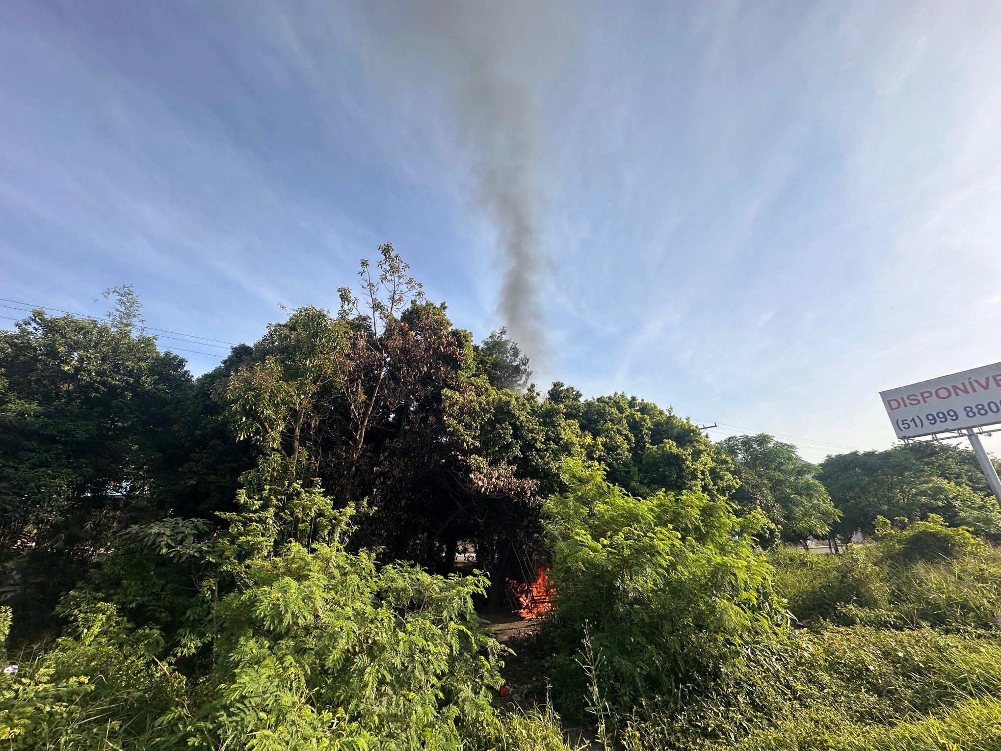 VÍDEO: Fogo alto chama atenção em área de vegetação e lixo na RS-239