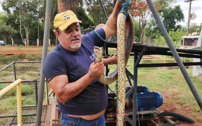 Sucuri entra em tubulação e deixa cidade sem água no interior de SP | abc+