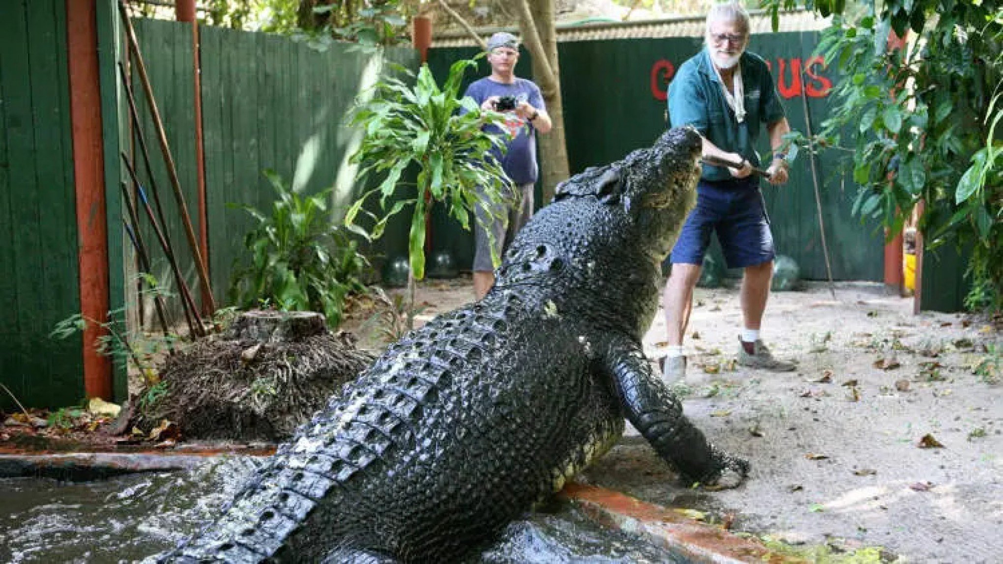 Maior crocodilo em cativeiro do mundo morre aos 110 anos