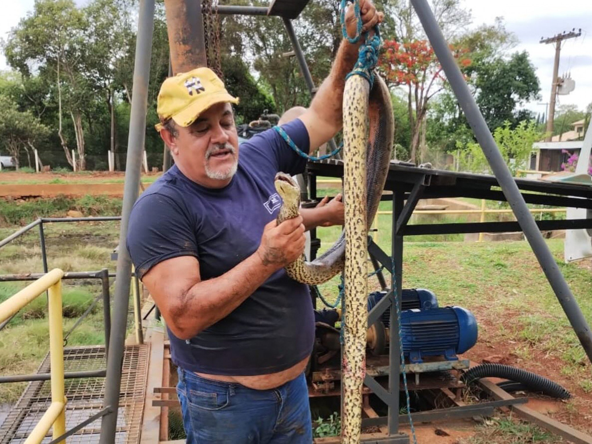 Cobra sucuri deixa cidade brasileira sem água; entenda