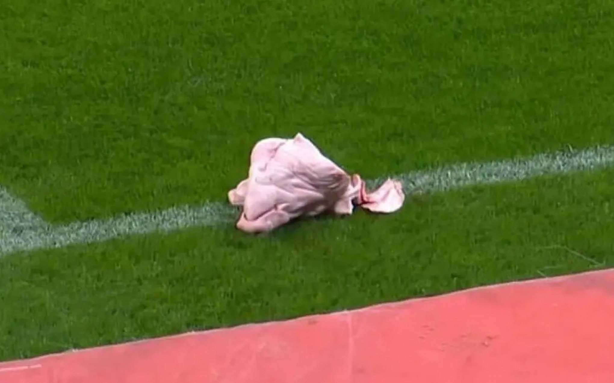 VÍDEO: Veja de onde veio a cabeça de porco arremessada no gramado durante o jogo entre Corinthians e Palmeiras