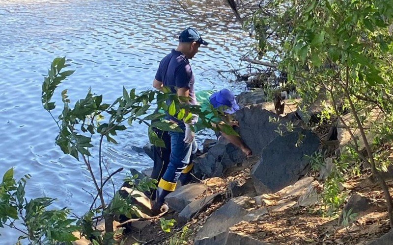 Coleta de amostras da água do rio, do solo e de sedimentos para a segunda análise já iniciou