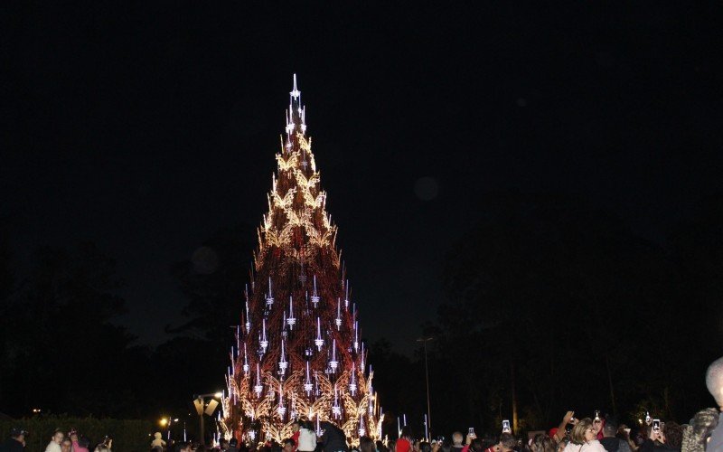 Árvore de natal será inaugurada na quinta-feira (14), às 18 horas, no Parque Getúlio Vargas 