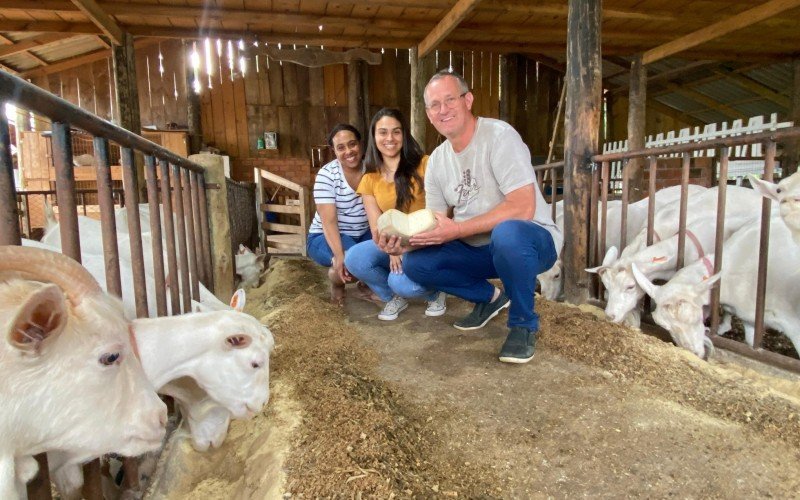 Leite das cabras da propriedade dá origem a produto também premiado