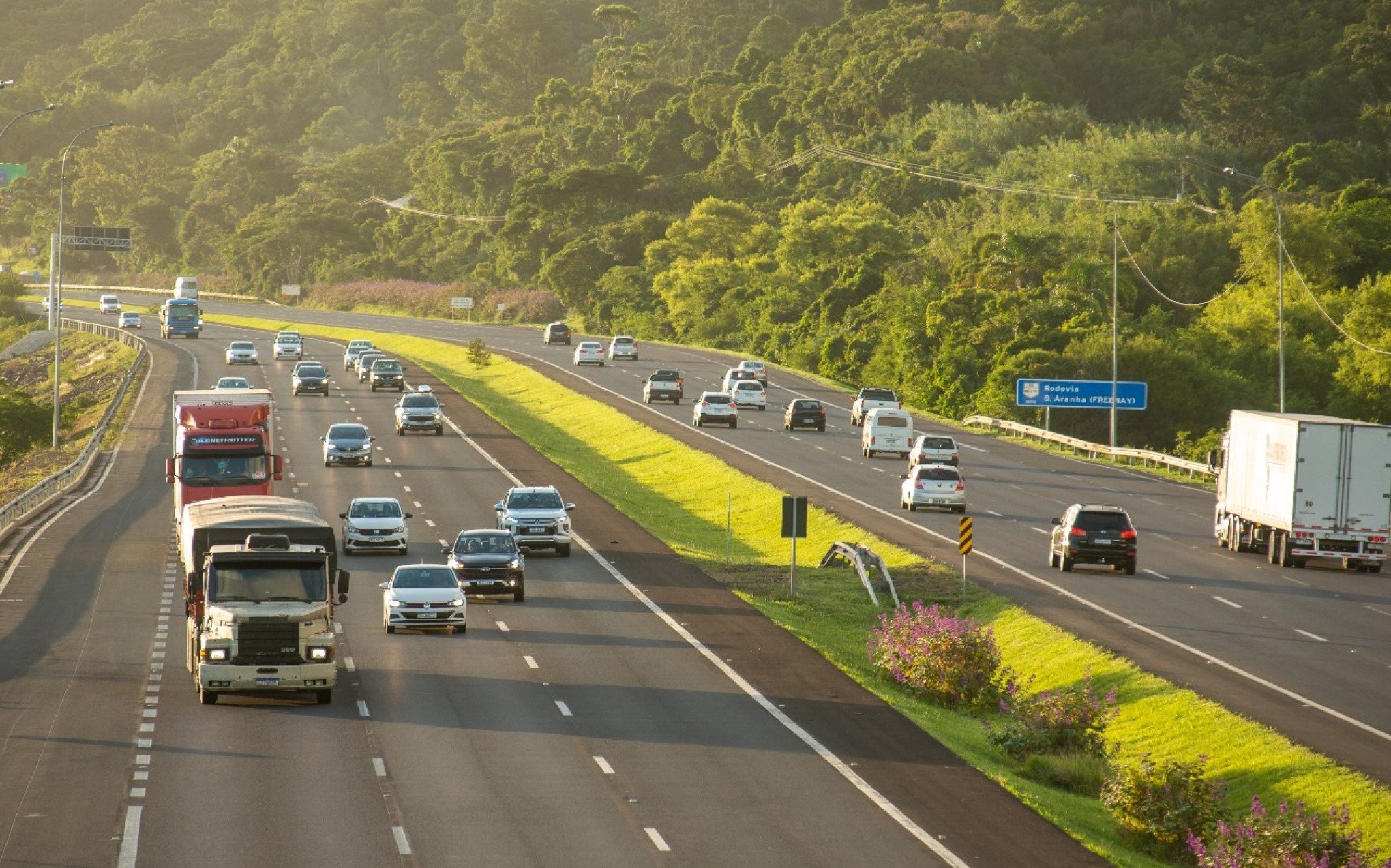 FREE WAY: Vai ir para a praia no feriadão? Confira os melhores horários para pegar a estrada